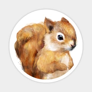 Little Squirrle Magnet